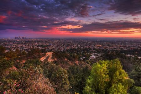 洛杉矶，日落，城市，从上面查看，树木，景观