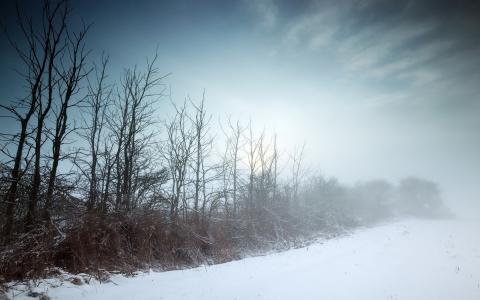 冬天，景观，领域，雾