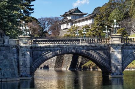 皇宫，日本东京，二桥桥，故宫，日本东京，桥，宫殿，灯光，树木