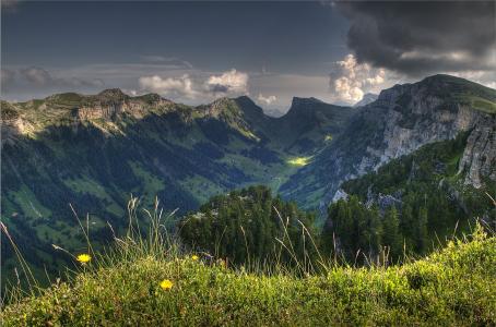 瑞士，山，树，顶视图，景观