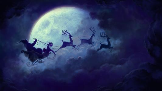 圣诞老人，新年，圣诞节，鹿