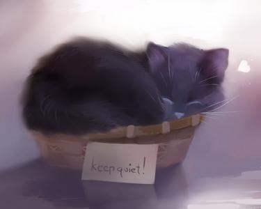 小猫，睡觉，绘画