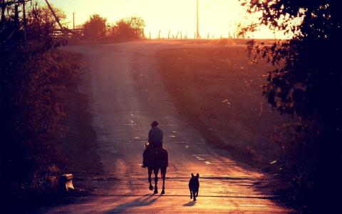 景观，道路，太阳，日落，骑手，马，狗，照片，动物，性质