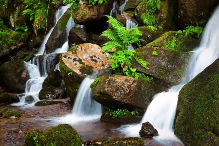 瀑布，石头，植物，自然
