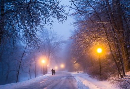 晚上，晚上，雪，树，森林，路，人，夫妇，路灯，性质，光，冬天