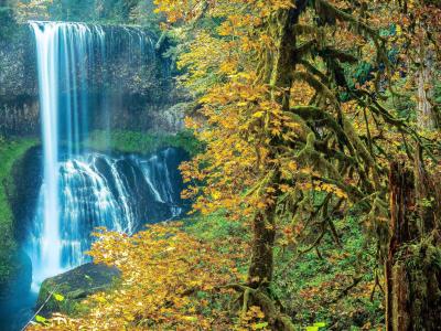 秋天，瀑布，树木，景观