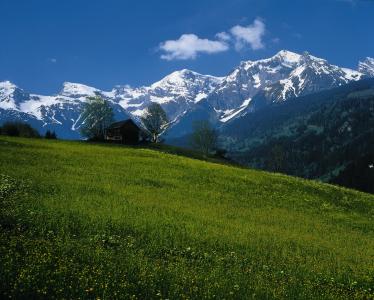 奥地利，山，小房子，景观