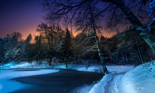 池塘，树木，冬天，雪，夜，公园，路径