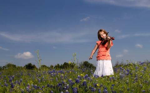 女孩，草地，小提琴手，小提琴，鲜花