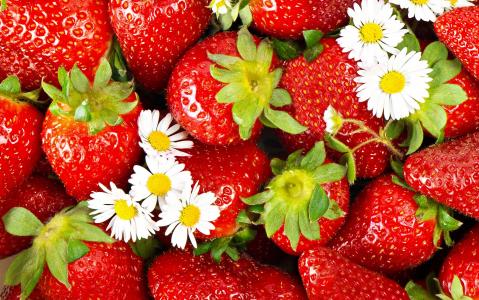 草莓，鲜花