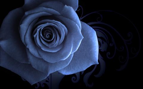 蓝色玫瑰，带图案的背景