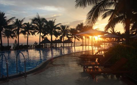 游泳池，棕榈树，日落