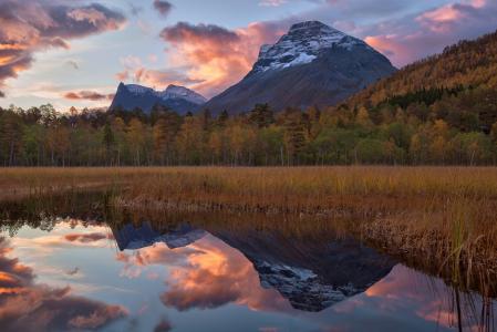 挪威，挪威，湖，山，森林，树，反射，秋季，景观