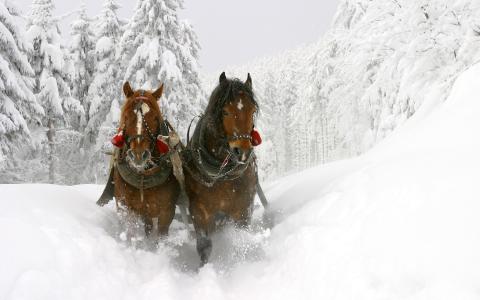 马具，马铃铛，冬天