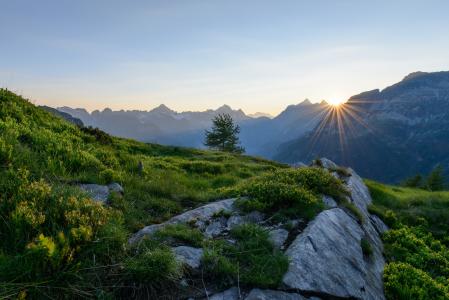 阿尔卑斯山，瑞士，阿尔卑斯山，瑞士，山，日出，日出