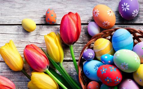 郁金香，鸡蛋，复活节
