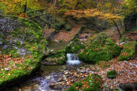 秋天，森林，河流，石头，景观