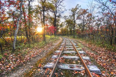 秋天，树木，铁路，景观