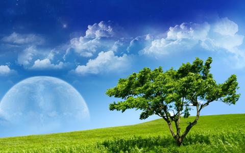 树，草，天空，星球