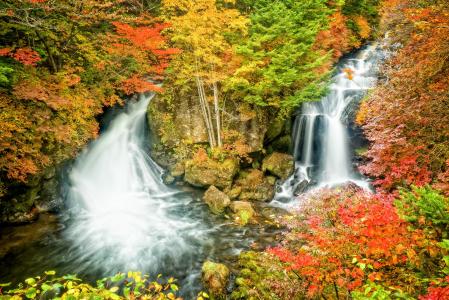 秋天，瀑布，岩石，日本，景观