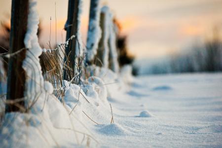 雪，宏，晚上，篱笆，冬天