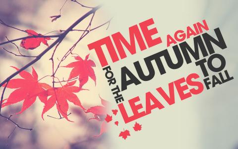 季节，秋天，叶子，时间下降
