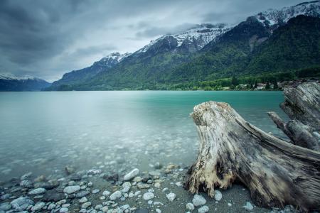 森林，瑞士，湖泊，山脉