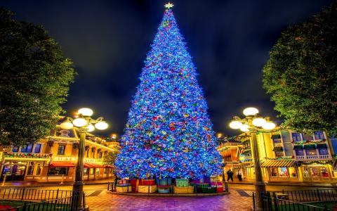 圣诞节，圣诞树，新年，假期，城市，光