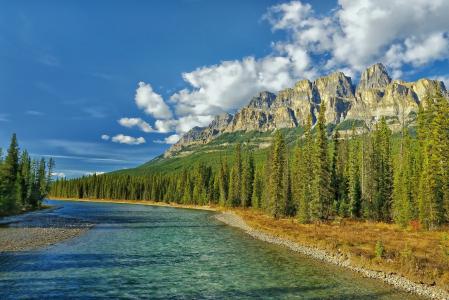 城堡山，弓河，艾伯塔省，加拿大，艾伯塔省，加拿大，河流，山脉，树木，景观