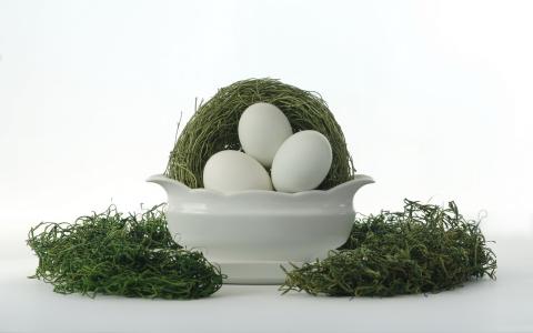 巢，鸡蛋，瓷器