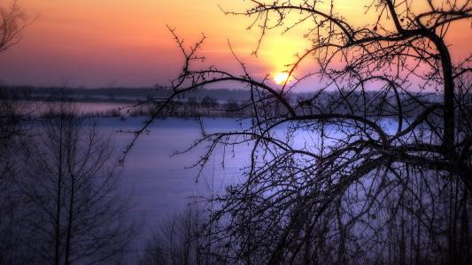 日落，树，景观，冬天