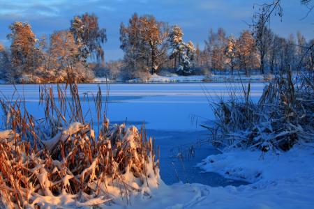 冬天，德国，河，劳普海姆，雪