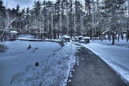 冬天，树木，路，桥