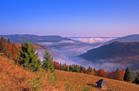 罗马尼亚，秋天，丘陵，山，树，景观