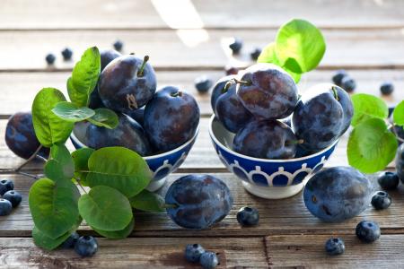 李子，蓝莓，浆果，树叶