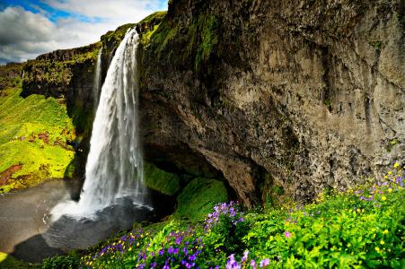岩石，岩石，大自然，瀑布，鲜花