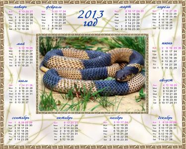 日历，2013年，新的一年，蛇