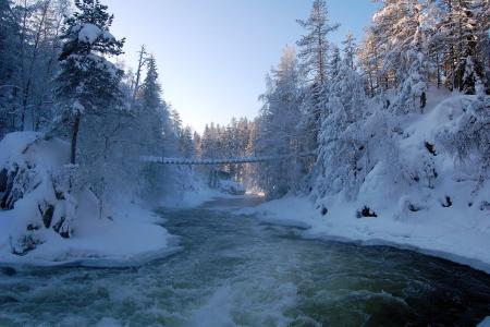 冬季，芬兰，Kitkajoki河，欧兰卡公园，雪