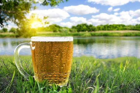 太阳，河，绿色，草，树，杯子，啤酒