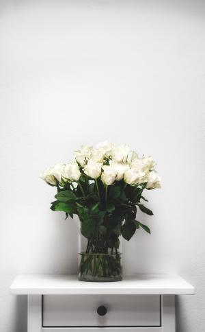 花瓶里的一簇白玫瑰