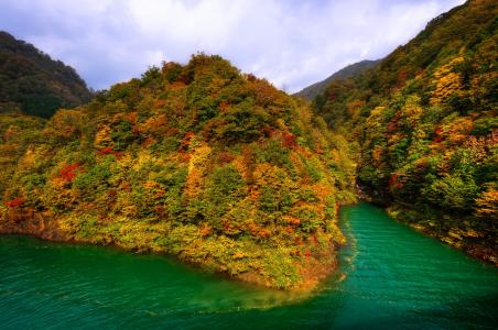 田泽，山，日本，秋天，森林，湖