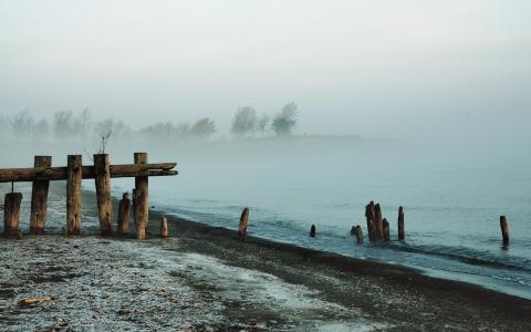 湖，雾，风景