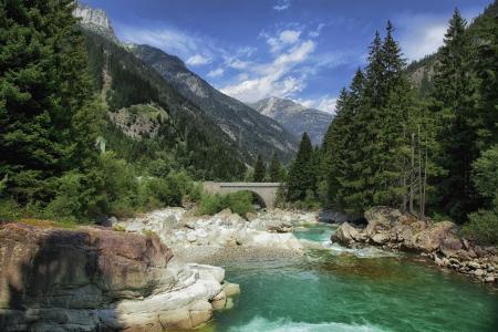 景观，瑞士，山，河，Wassen