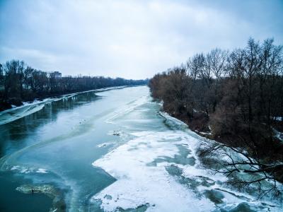 河，冬天，冰，白嘴鸦