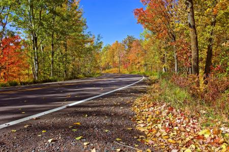 秋天，道路，树木，叶子，景观