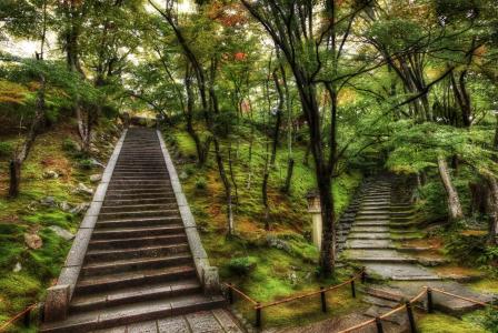 公园，京都，树木，楼梯，人类发展报告，性质