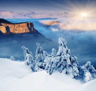 冬天，景观，雪，冬天，雪，树，太阳，山，自然