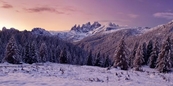 白云岩，意大利，日落，山，森林，树木，冬天，景观