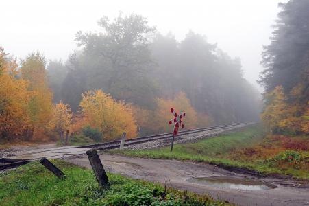 秋天，铁路，树木，路，水坑，雾，景观