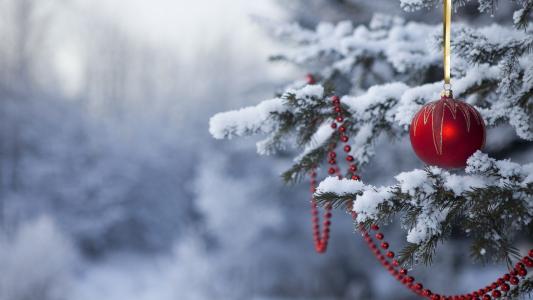 新的一年，新年快乐，假期，树，雪，玩具